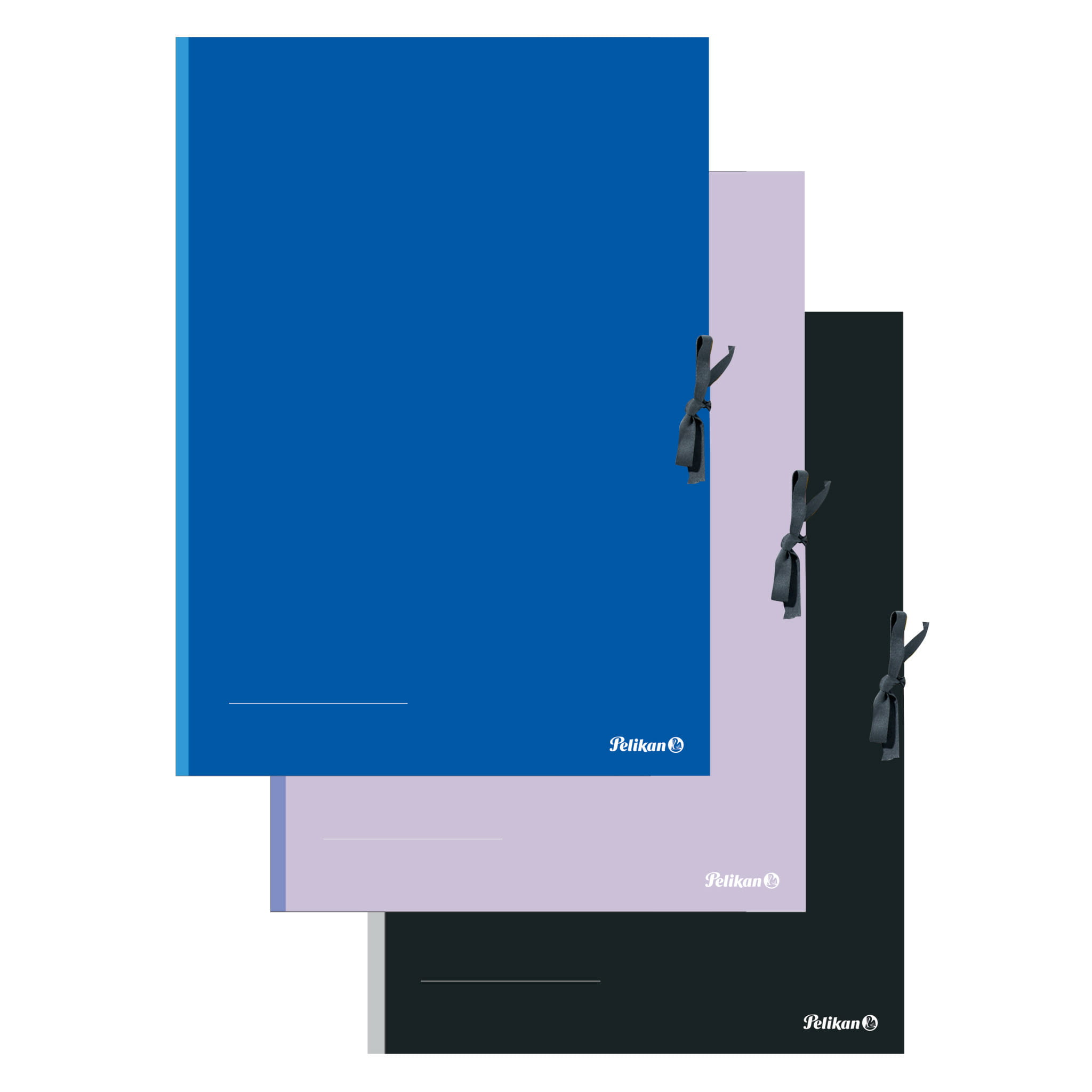 Pelikan 276870, Umlaufordner (fließend), A2, Karton, Schwarz, Blau, Pink, 3 Stück(e)