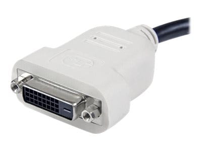 StarTech.com DisplayPort Adapter auf DVI - DP (Stecker)