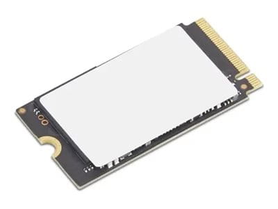 Lenovo SSD - verschlüsselt - 1 TB - intern