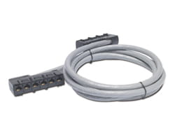 APC Data Distribution Cable - Netzwerkkabel - TAA-konform - RJ-45 (W)