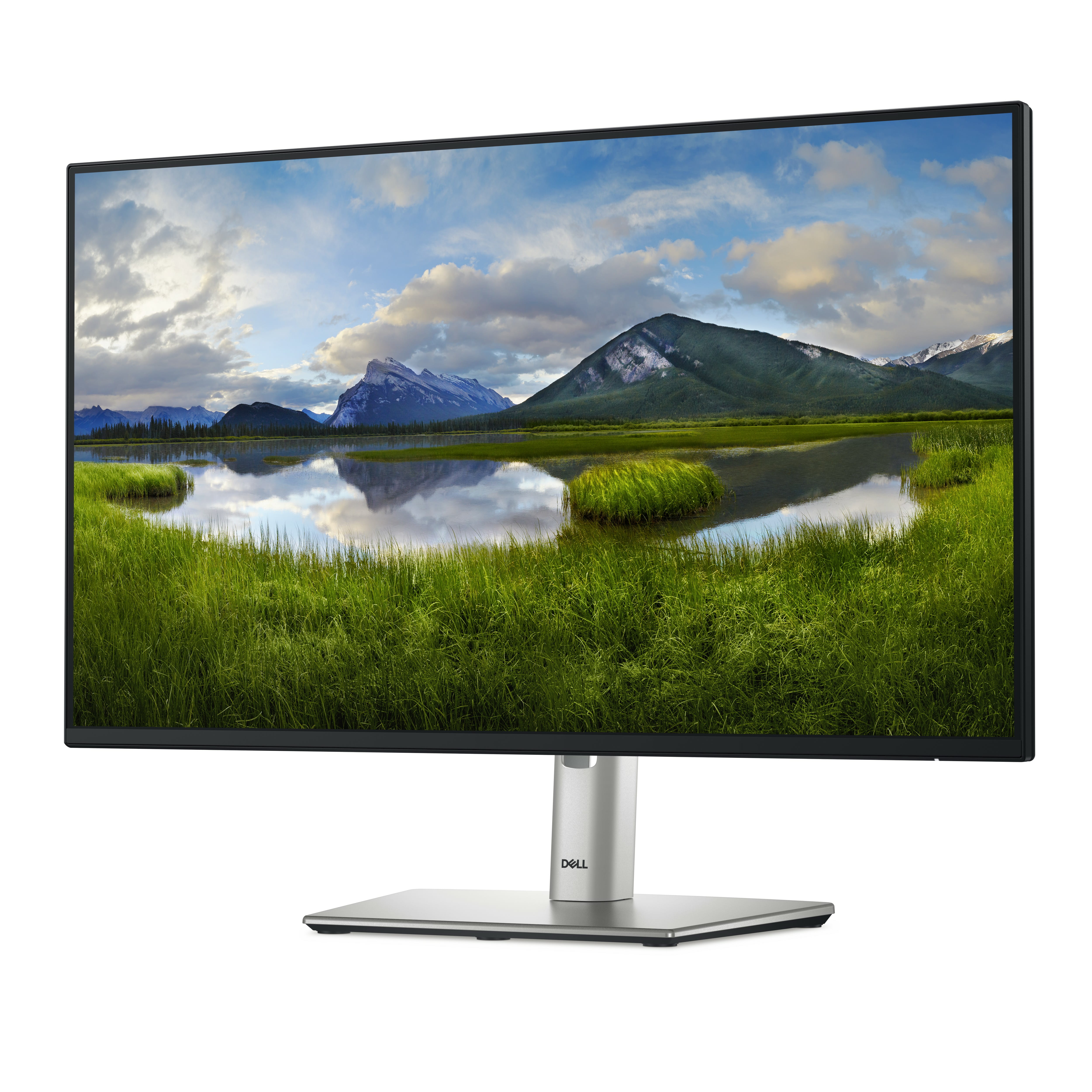 Dell P2425HE - LED-Monitor - 61 cm (24") (23.81" sichtbar)