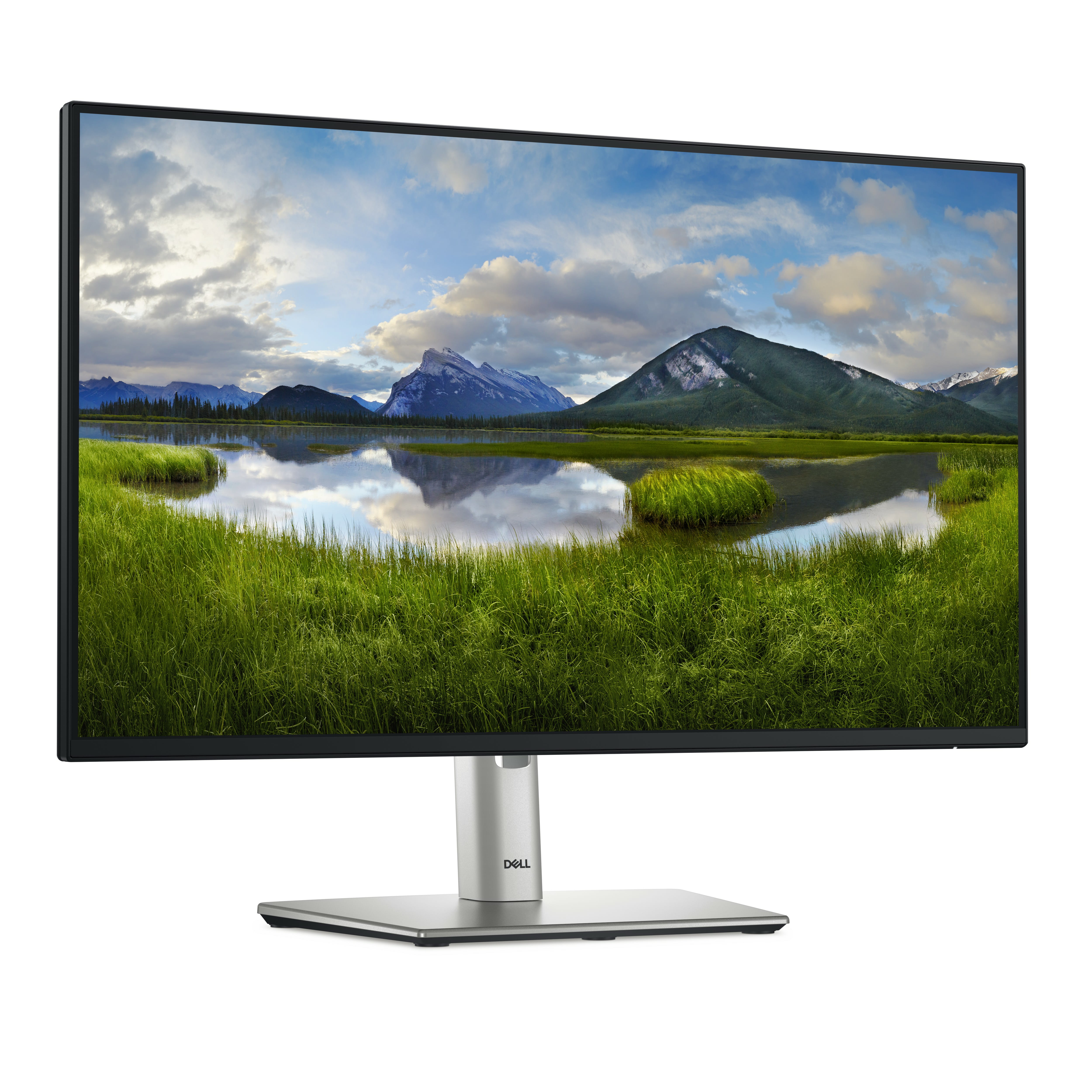 Dell P2425H - LED-Monitor - 61 cm (24") (23.81" sichtbar)