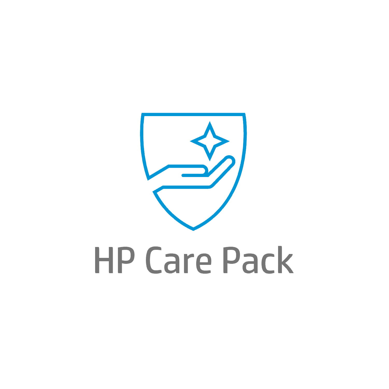 HP Electronic HP Care Pack Next Business Day Hardware Support