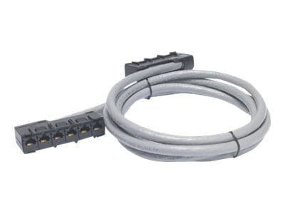 APC Data Distribution Cable - Netzwerkkabel - TAA-konform - RJ-45 (W)