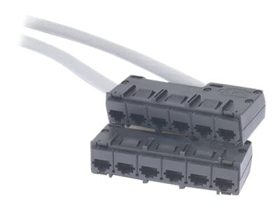 APC Data Distribution Cable - Netzwerkkabel - TAA-konform - RJ-45 (W)