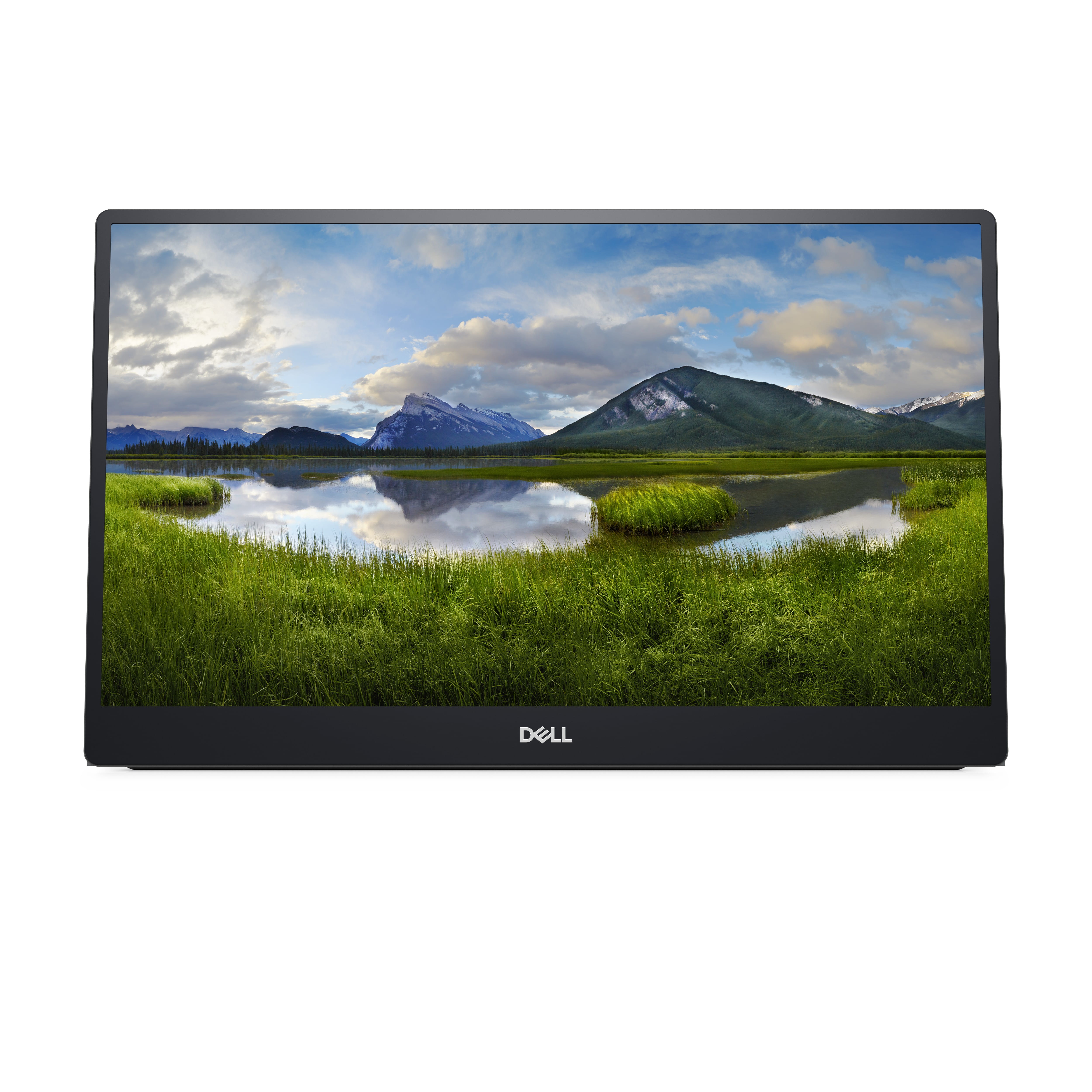 Dell P1424H - LED-Monitor - 35.56 cm (14") - tragbar - 1920 x 1080 Full HD (1080p)