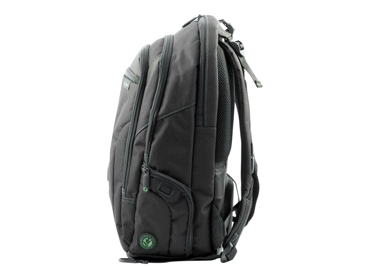 Targus EcoSpruce - Notebook-Rucksack - 39.6 cm (15.6")