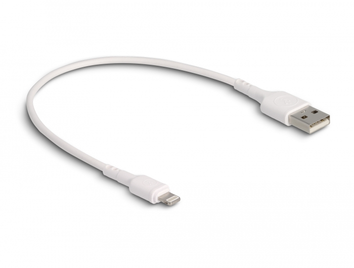 Delock Lightning-Kabel - USB männlich zu Lightning männlich