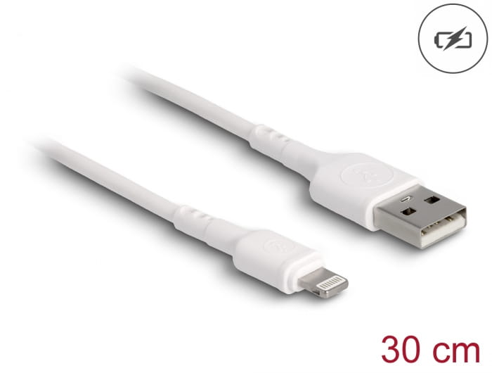 Delock Lightning-Kabel - USB männlich zu Lightning männlich