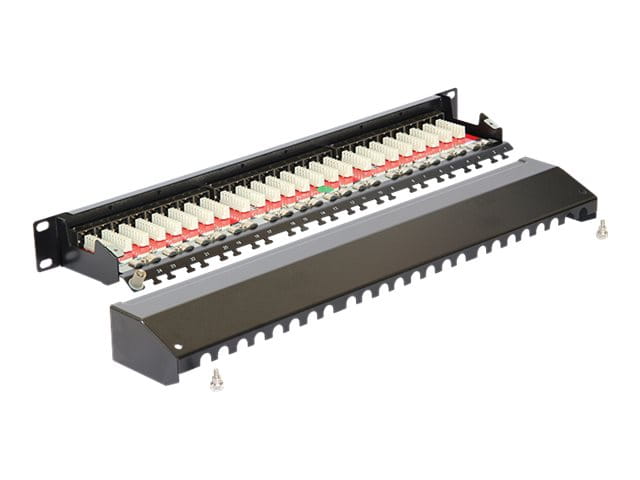 Delock Patch Panel - RJ-45 X 24 - Jet Black, RAL 9005 - 1U - 48.3 cm (19")