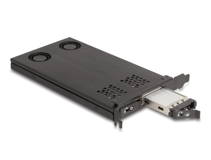 Delock Schnittstellenadapter - M.2 - M.2 NVMe Card