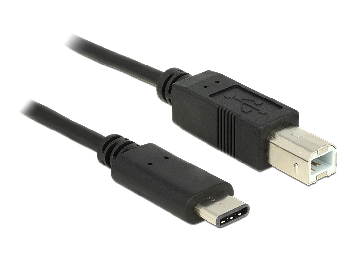 Delock USB-Kabel - USB-C (M) bis USB Typ B (M)