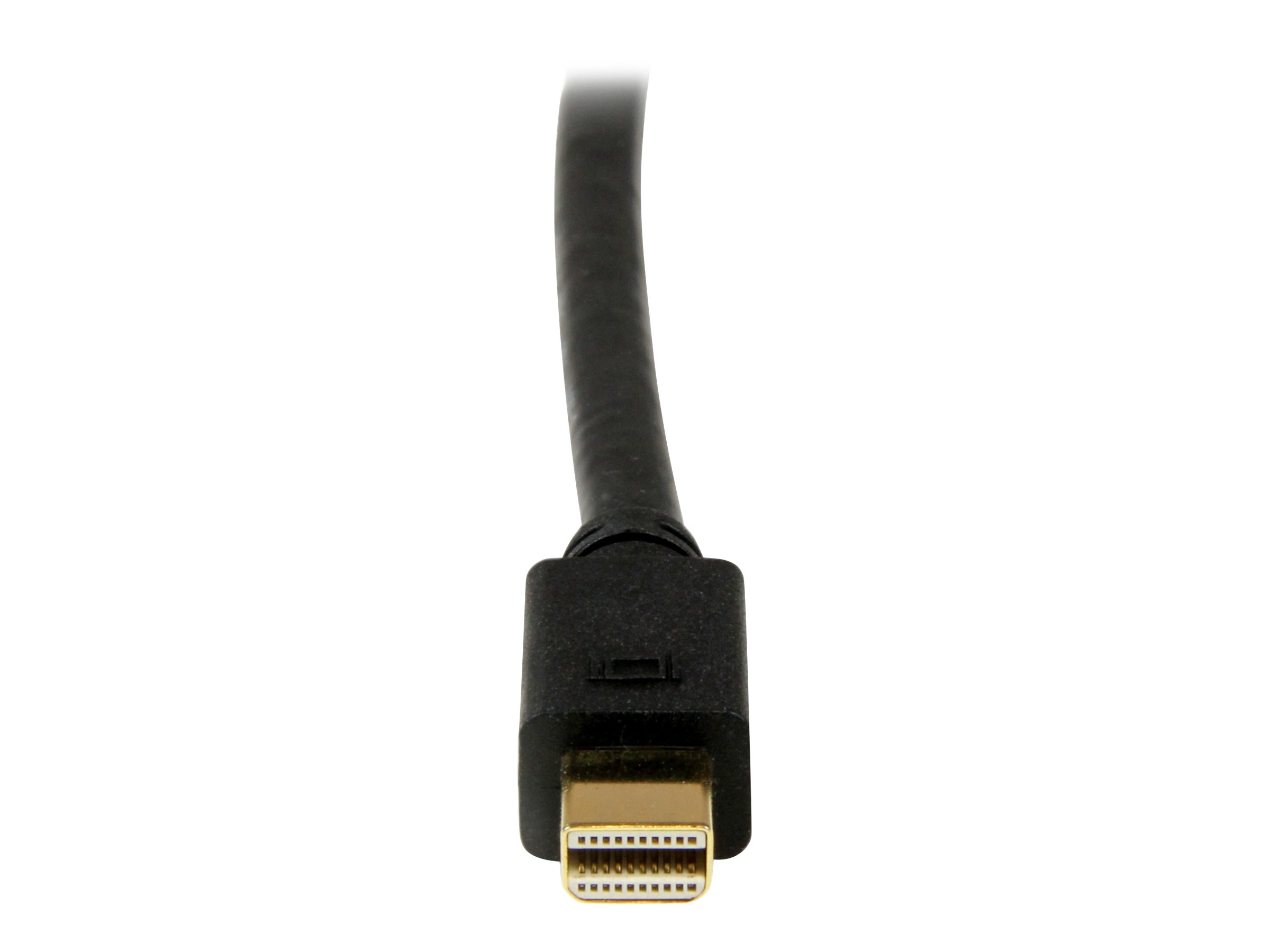 StarTech.com 1,8m Mini DisplayPort auf DVI Kabel (Stecker/Stecker)