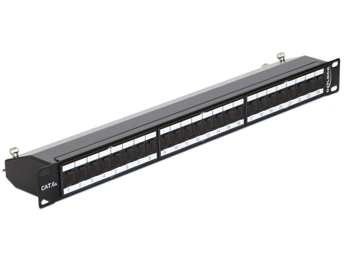 Delock Patch Panel - RJ-45 X 24 - Jet Black, RAL 9005 - 1U - 48.3 cm (19")