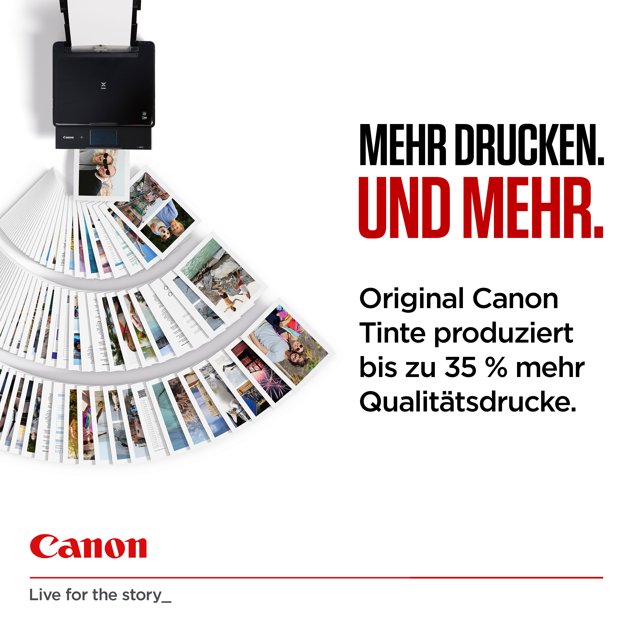 Canon PG-545 - 8 ml - Schwarz - original - Tintenpatrone