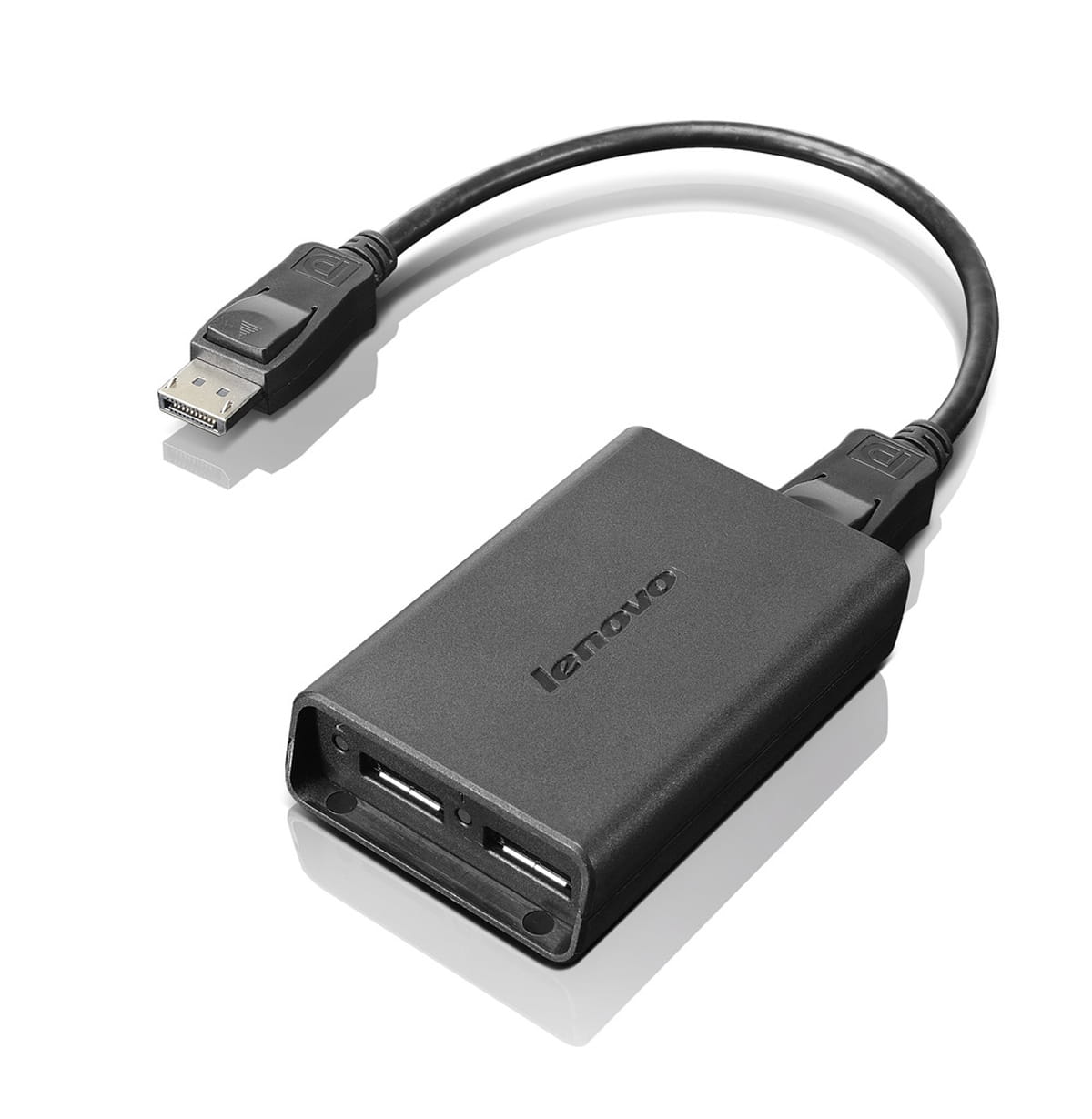 Lenovo DisplayPort-Adapter - DisplayPort (M)