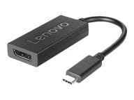 Lenovo USB/DisplayPort-Adapter - 24 pin USB-C (M)