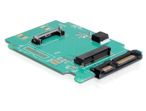 Delock Converter SATA 22 pin > mSATA - Speicher-Controller - 1.8" (4.6 cm)