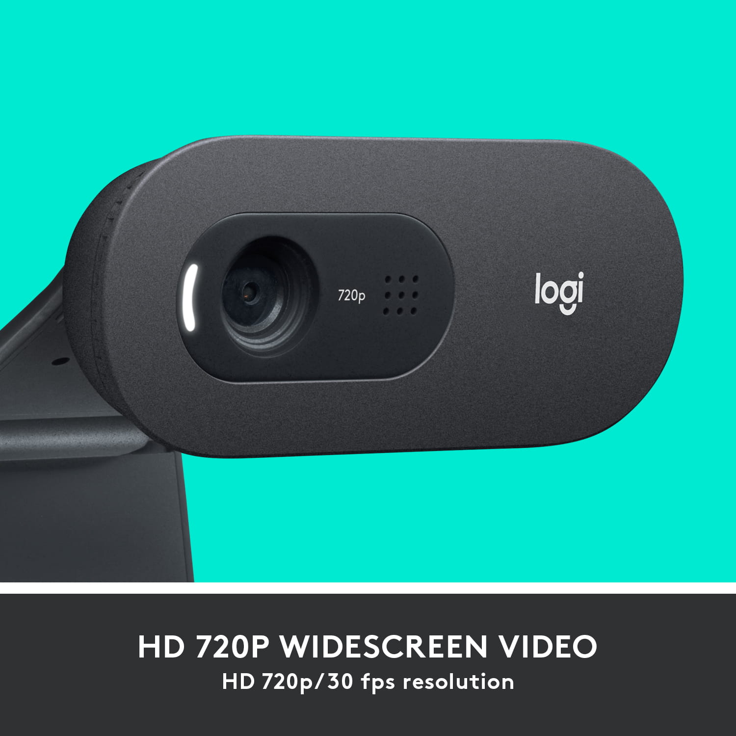 Logitech C505 - Webcam - Farbe - 720p - feste Brennweite