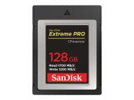 SanDisk Speicherkarten/USB-Sticks SDCFE-128G-GN4NN 1