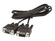 APC Kabel / Adapter AP9804 1