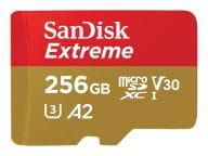 SanDisk Speicherkarten/USB-Sticks SDSQXAV-256G-GN6MA 2