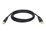 Tripp Kabel / Adapter U022-010 2