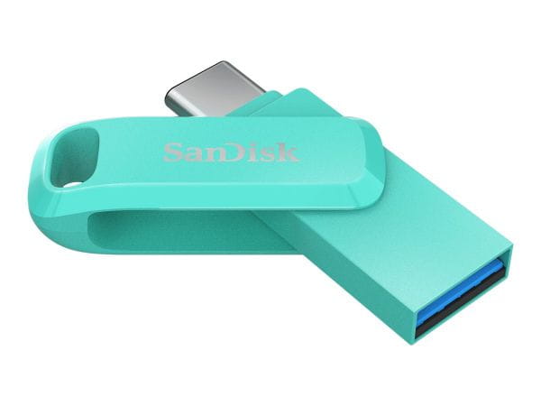 SanDisk Speicherkarten/USB-Sticks SDDDC3-256G-G46G 2