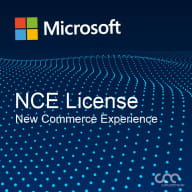 NCE/CSP Windows Server 2022 Remote Desktop Services - 1 User CAL