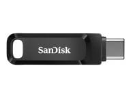SanDisk Speicherkarten/USB-Sticks SDDDC3-256G-G46 1