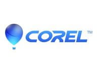 Corel Anwendungssoftware CDE2024MLMBEU 1