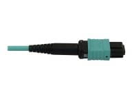 Tripp Kabel / Adapter N844X-03M-8L-P 5