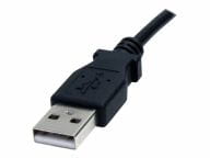 StarTech.com Kabel / Adapter USB2TYPEM 2