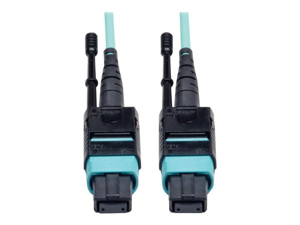 Tripp Kabel / Adapter N844-10M-12-P 1