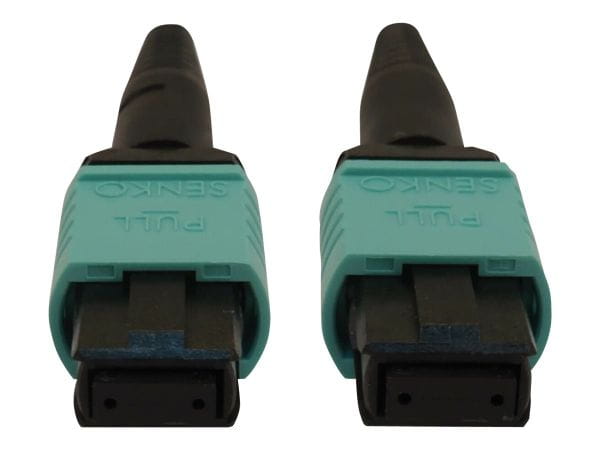 Tripp Kabel / Adapter N844B-02M-12-P 2