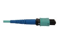 Tripp Kabel / Adapter N846B-02M-24-P 5