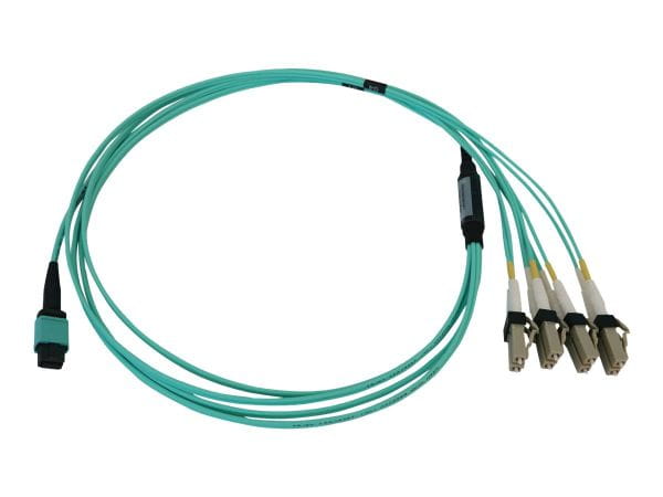 Tripp Kabel / Adapter N844X-01M-8L-P 5