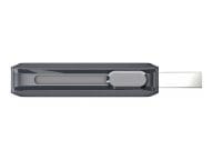 SanDisk Speicherkarten/USB-Sticks SDDDC2-256G-G46 2