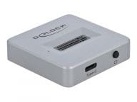 Delock Kabel / Adapter 64000 1