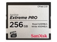 SanDisk Speicherkarten/USB-Sticks SDCFSP-256G-G46D 1