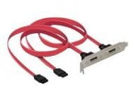 Delock Kabel / Adapter 65116 1