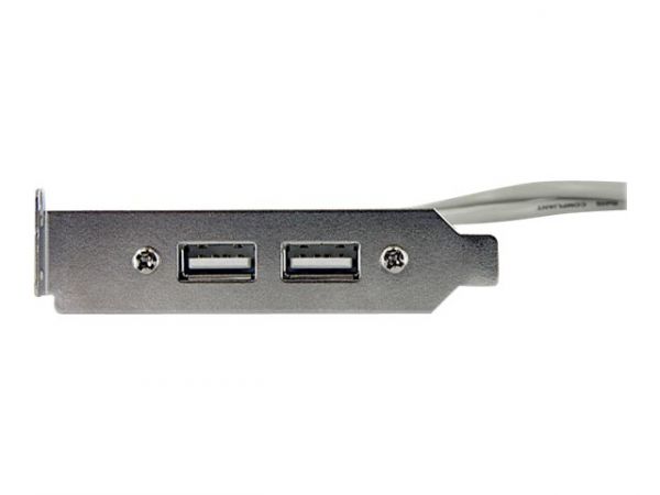 StarTech.com Kabel / Adapter USBPLATELP 4