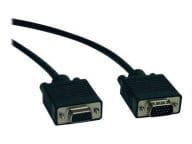 Tripp Kabel / Adapter P781-010 1