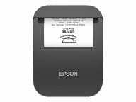 Epson Drucker C31CJ99111 1