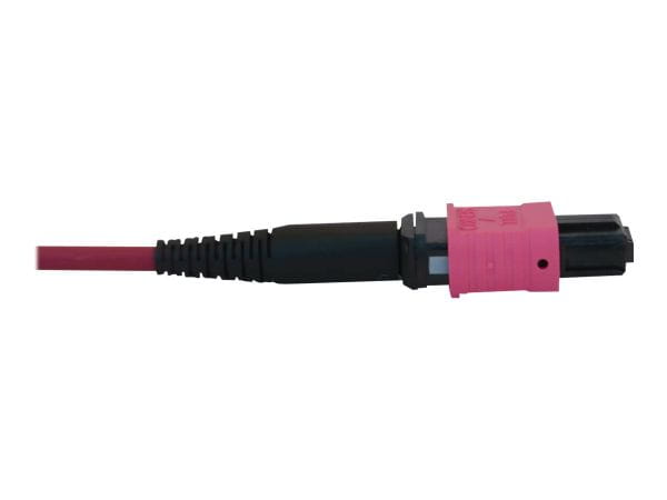 Tripp Kabel / Adapter N845B-01M-12-MG 4