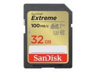 SanDisk Speicherkarten/USB-Sticks SDSDXVT-032G-GNCIN 2