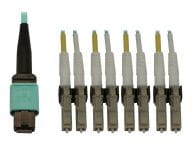 Tripp Kabel / Adapter N844X-02M-8L-P 1