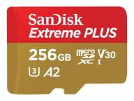SanDisk Speicherkarten/USB-Sticks SDSQXBD-256G-GN6MA 1