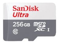SanDisk Speicherkarten/USB-Sticks SDSQUNR-256G-GN3MN 1