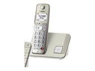 Panasonic Telefone KX-TGE250GN 1